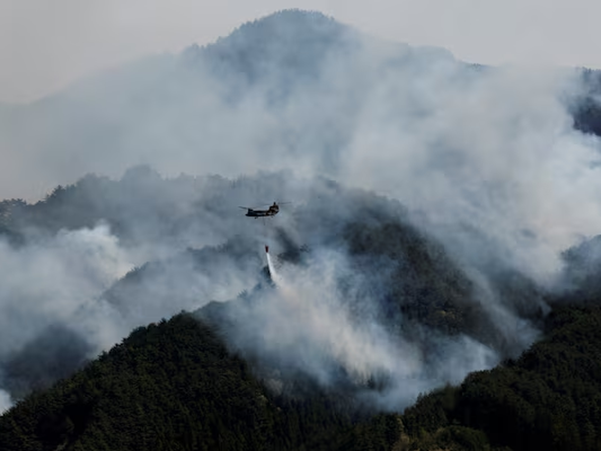 Global fire outbreaks hit record high as 'unprecedented' heat extremes loom, scientists say