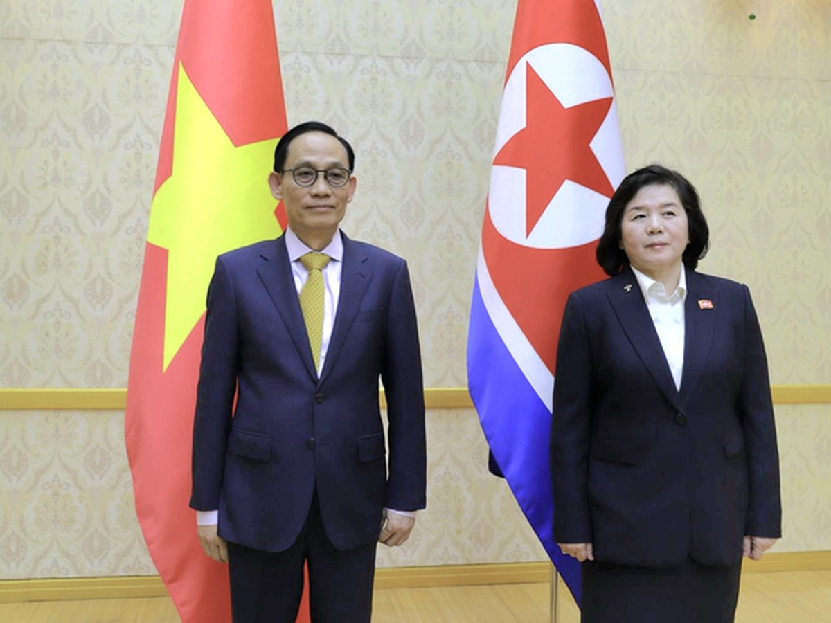 Vietnam seeks to further deepen practical, effective ties with North Korea: special envoy