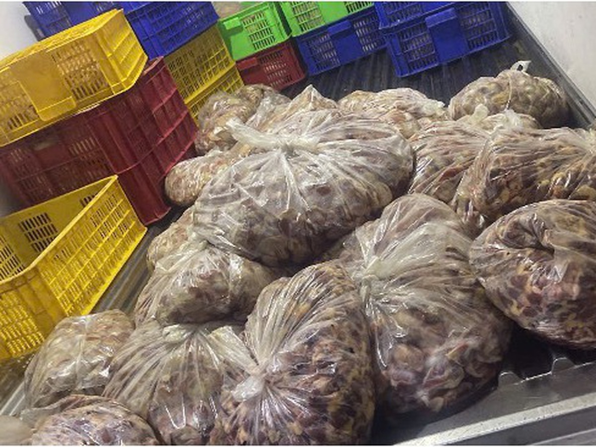 Ho Chi Minh City seizes tonnes of undocumented pork, chicken products
