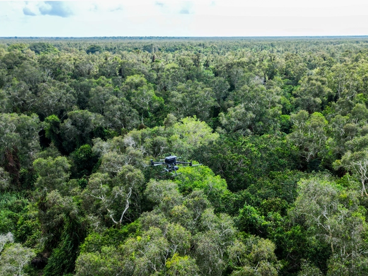 Vietnam’s Ca Mau uses thermal drones, smart cameras to prevent forest fires