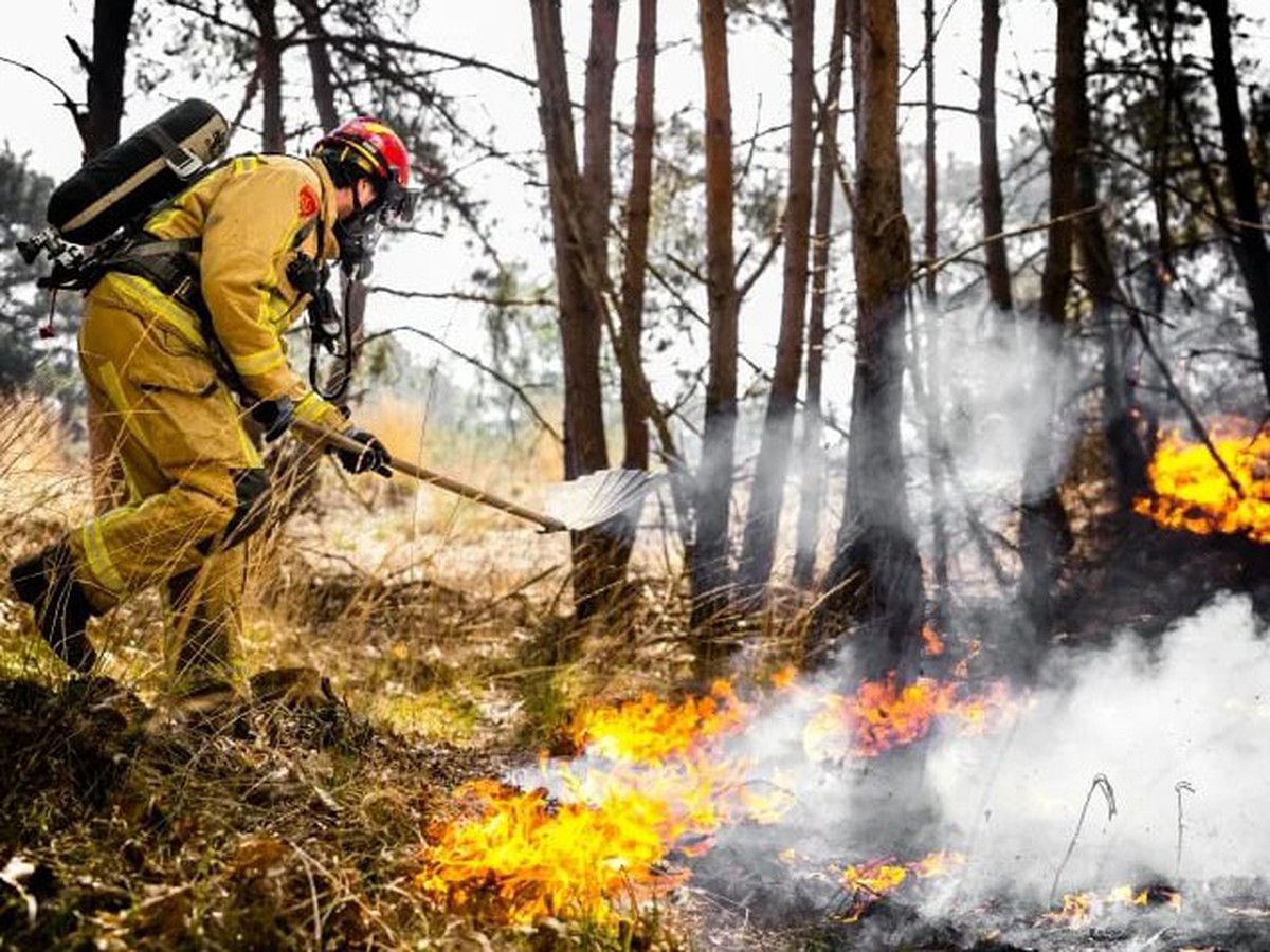 France, Germany send firefighters to help battle Dutch blazes