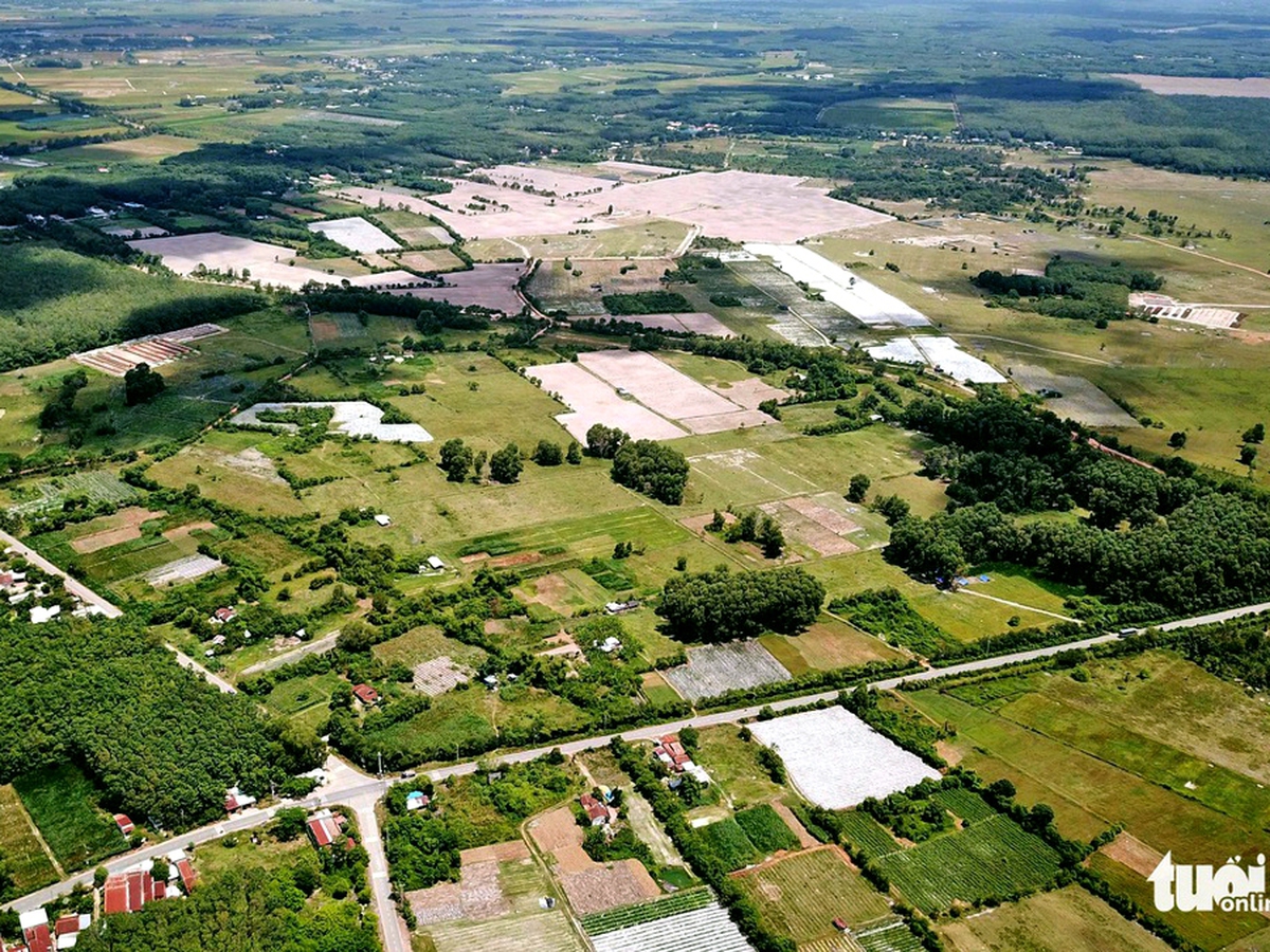 Ho Chi Minh City revives stalled safari park project