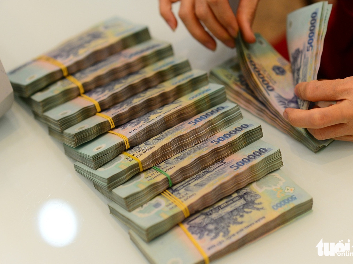 Vietnam household bank deposits top $390bn as business deposits decline