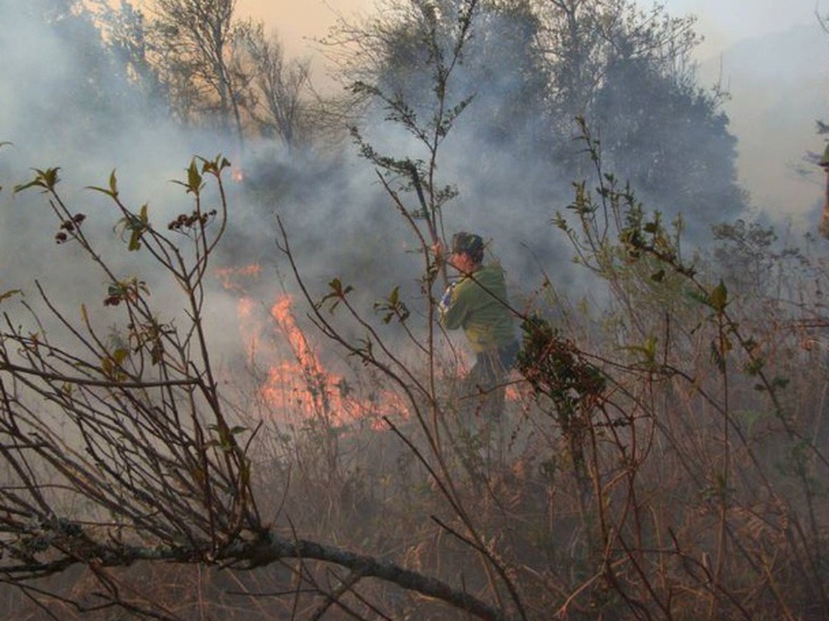 Vietnam on high alert as extreme heat heightens forest fire risks: ministry