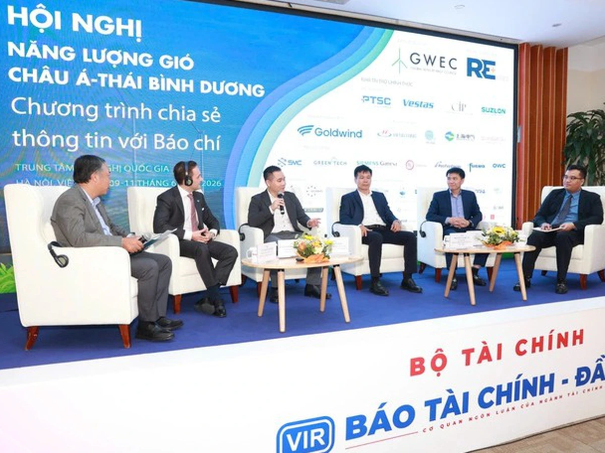 Vietnam seen as wind power leader in Asia outside China, India: GWEC official