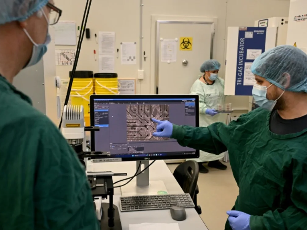 Australian researchers teach brain cells to play 'Doom'