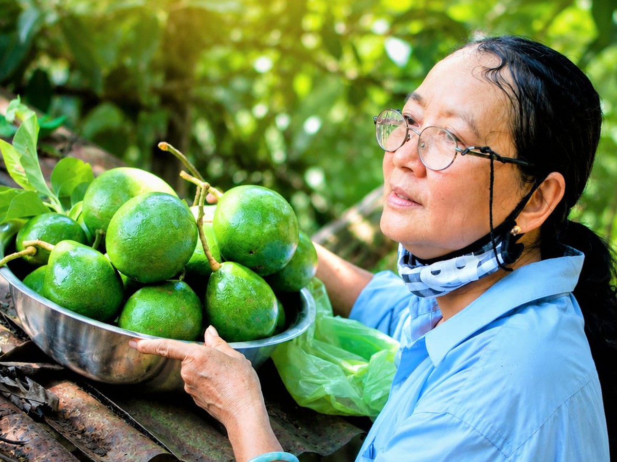 How a Vietnamese mother turns storm-fallen avocado