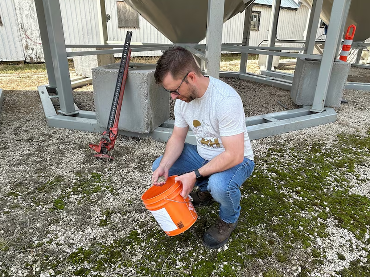 The perfect pitch is the goal for World Cup grass growers