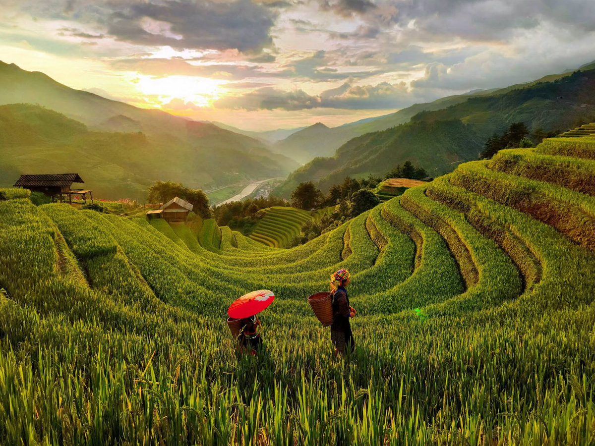 Homestay in Vietnam's Mu Cang Chai explains $3.8 motorbike taxi surcharge after online backlash