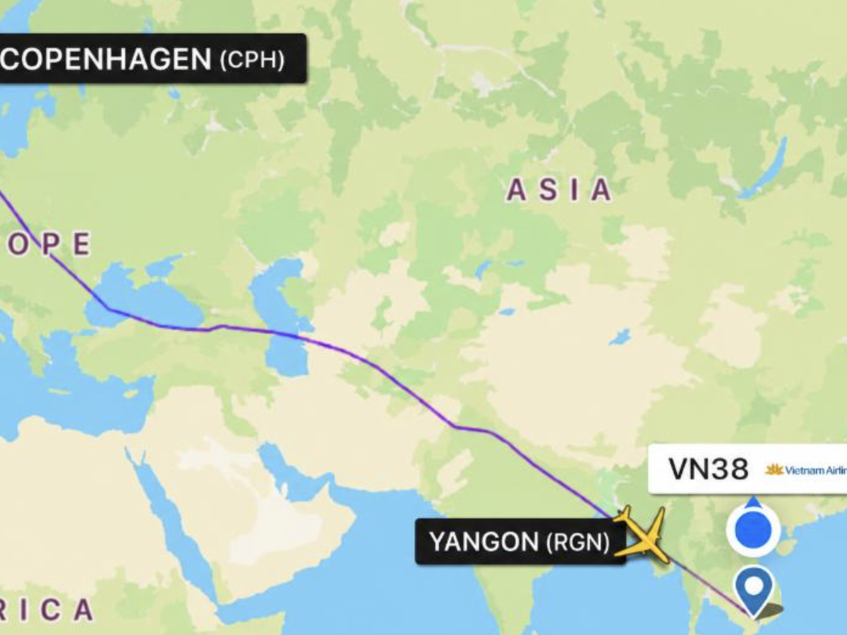 Woman gives birth on flight from Denmark to Ho Chi Minh City