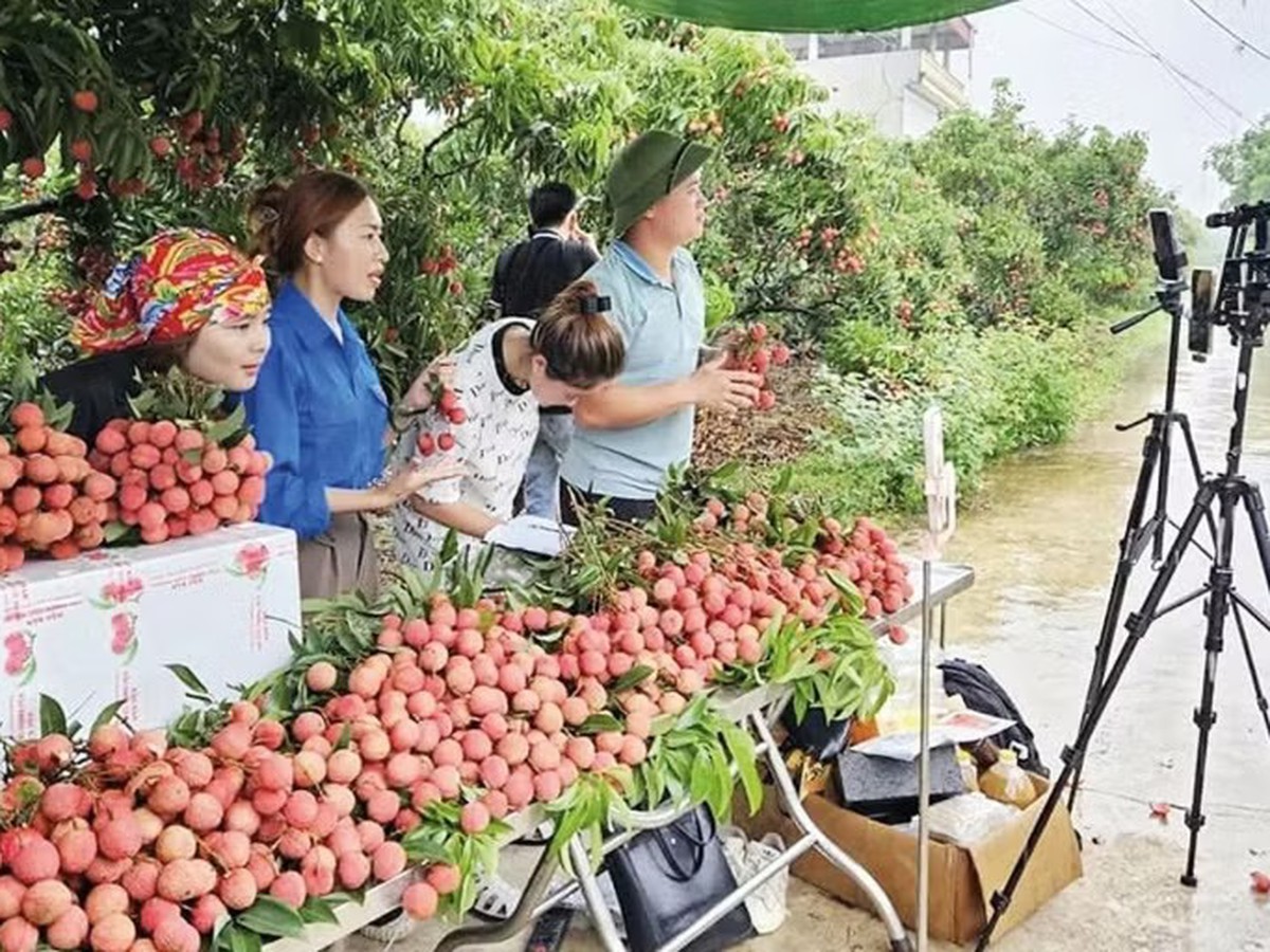 Farm produce goes online, opening wider market access