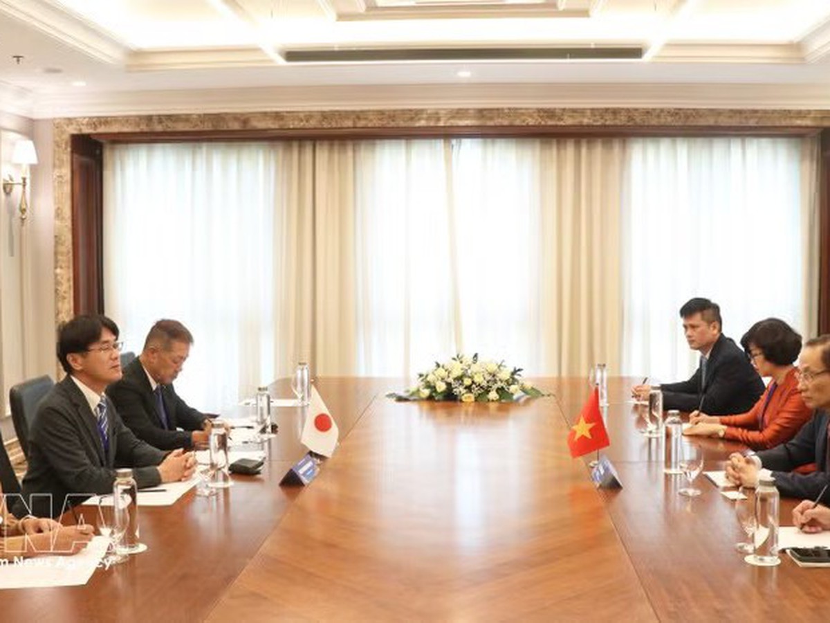 Foreign Minister receives Japanese officials in Hue