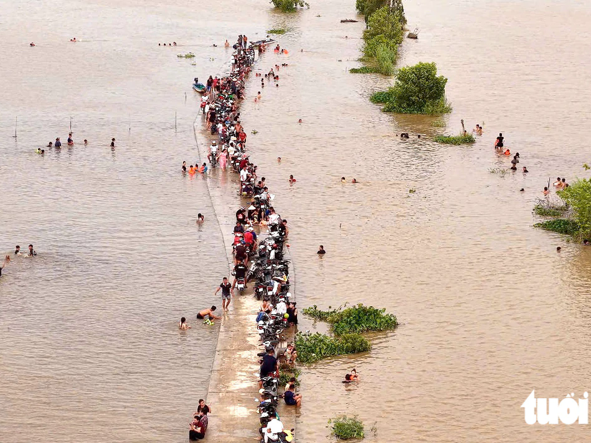 Floating season turns fields in Vietnam’s Mekong Delta into swimming destination