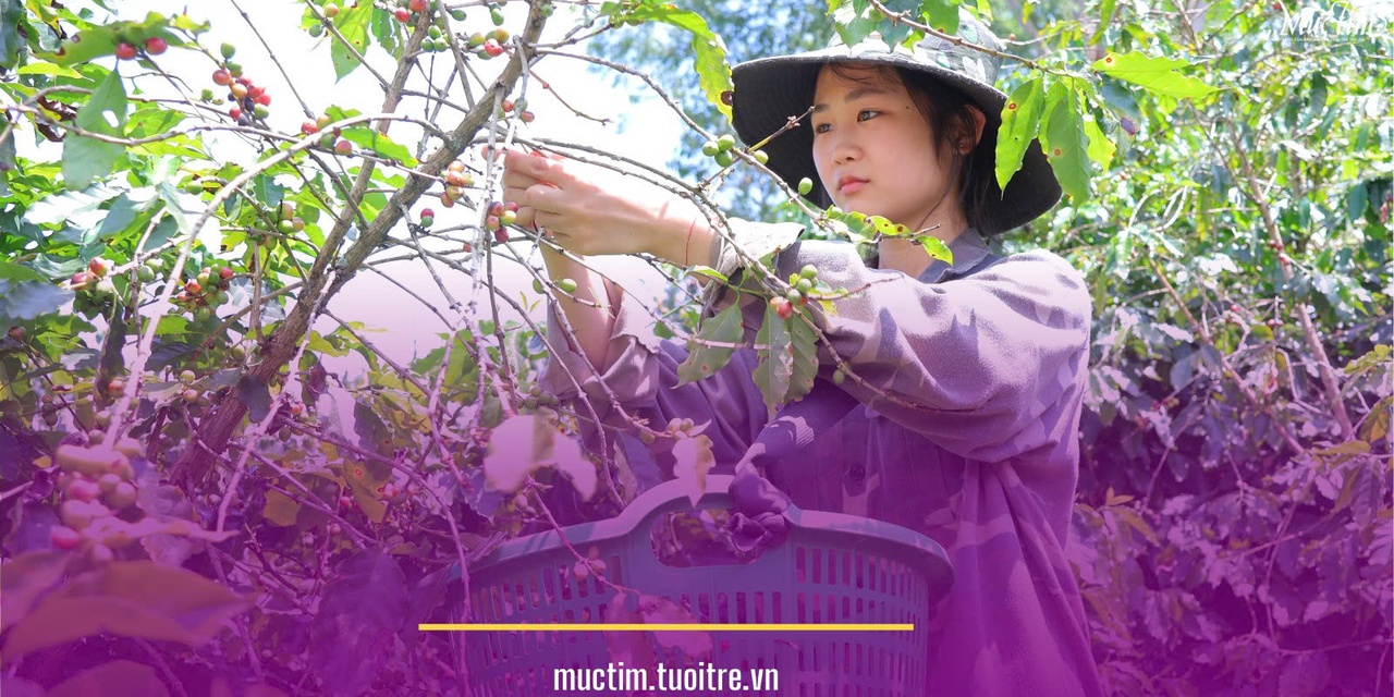 Phóng sự Học bổng Vì tương lai Việt Nam: Những đóa hoa ban giữa đại ngàn Tây Bắc 