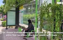 Ho Chi Minh City gives bus stops greener, cooler makeover