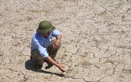 Vietnam faces hotter, drier 2027 as El Niño threatens heat, water supplies