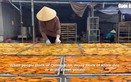 Nine rounds of sunshine for one slice: Inside Vietnam's dried sweet potato capital