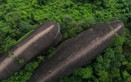 This family of 'whales' has been living in a Thai forest for 75 million years