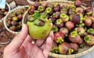 Nông nghiệp bền vững