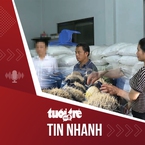 Tin tức tối 31-5: Khởi tố 3 người trong vụ 350 tấn giá ủ hóa chất
