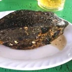 Chủ bè nổi ở Nha Trang nói lý do 'hét giá' cá bò hòm 3,5 triệu đồng/kg