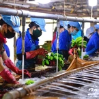 Chuyên gia Nguyễn Đình Cung nói về tác động của Nghị quyết 68 đối với doanh nghiệp tư nhân