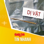 Tin tức sáng 10-6: Hai cháu bé nuốt tăm xỉa răng, phải nhập viện