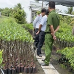 Cơ sở kinh doanh cây giống phải đáp ứng điều kiện gì khi hoạt động?