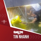 Tin tức tối 29-6: Em 4 tuổi rơi xuống nước, anh 12 tuổi lao theo cứu, cả hai thiệt mạng