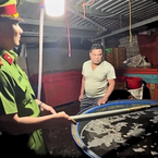 Phát hiện chấn động: Hơn 3.000 tấn thịt ốc bươu ngâm 'thủy tinh lỏng' đã bán ra thị trường