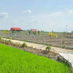 Xẻ ruộng lập 'vườn sinh thái' trái phép, rao bán hàng trăm triệu mỗi nền