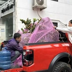 Lãnh đạo Sở Xây dựng Hà Nội nói gì về vụ cấm xe bán tải vào nội đô?