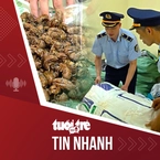 Tin tức tối 13-5: Vụ 80kg xác ve sầu cần giấy chứng minh nguồn gốc: Chủ hàng xuất trình đủ giấy tờ, được trả lại hàng