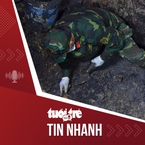Tin tức tối 10-7: Thêm 13 hài cốt liệt sĩ được tìm thấy tại công viên Lê Thị Riêng