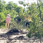 Tìm thấy bộ xương người đàn ông mất tích trong rừng tràm: Nỗi đau người ở lại 