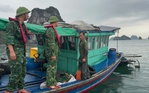 Khẩn trương kêu gọi, cưỡng chế đưa 425 tàu cá ở vịnh Bắc Bộ về bờ tránh bão số 3 Wipha