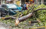 Nguyên nhân nào khiến thời tiết Nam Bộ xấu, biển Gia Lai đến TP.HCM dông gió?