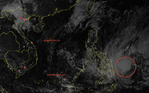 Bão Chim Én vừa hình thành gần Biển Đông