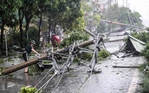 El Nino tác động đến mùa mưa bão năm nay thế nào?