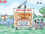 Đất nền của Hà Bá?