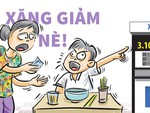 Xăng giảm rồi nè bà chủ!