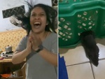 Cô gái mừng rỡ khi bắt được chuột