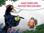 Chim thần vừa ăn khế vừa lừa đảo