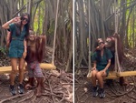 Chú vượn làm mẫu ảnh siêu chuyên nghiệp