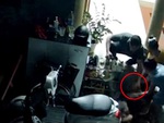 Cả nhà vui mừng khôn xiết vì chó cưng đi lạc nửa năm trở về nhà