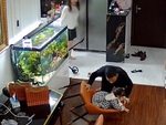 Bố phản xạ xuất thần đỡ con gái thoát cú ngã đau