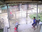 Bố tính nóng như kem quăng luôn xe đạp vì con chạy bất cẩn