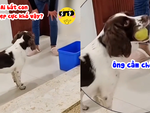 Chú chó ấm ức khi sen bắt dọn đồ chơi
