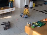 Thấy cậu chủ cho tiền, chú mèo mới chịu diễn sâu