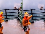 'Tôn Ngộ Không' đau khổ vì đồ đệ không nhận ra mình